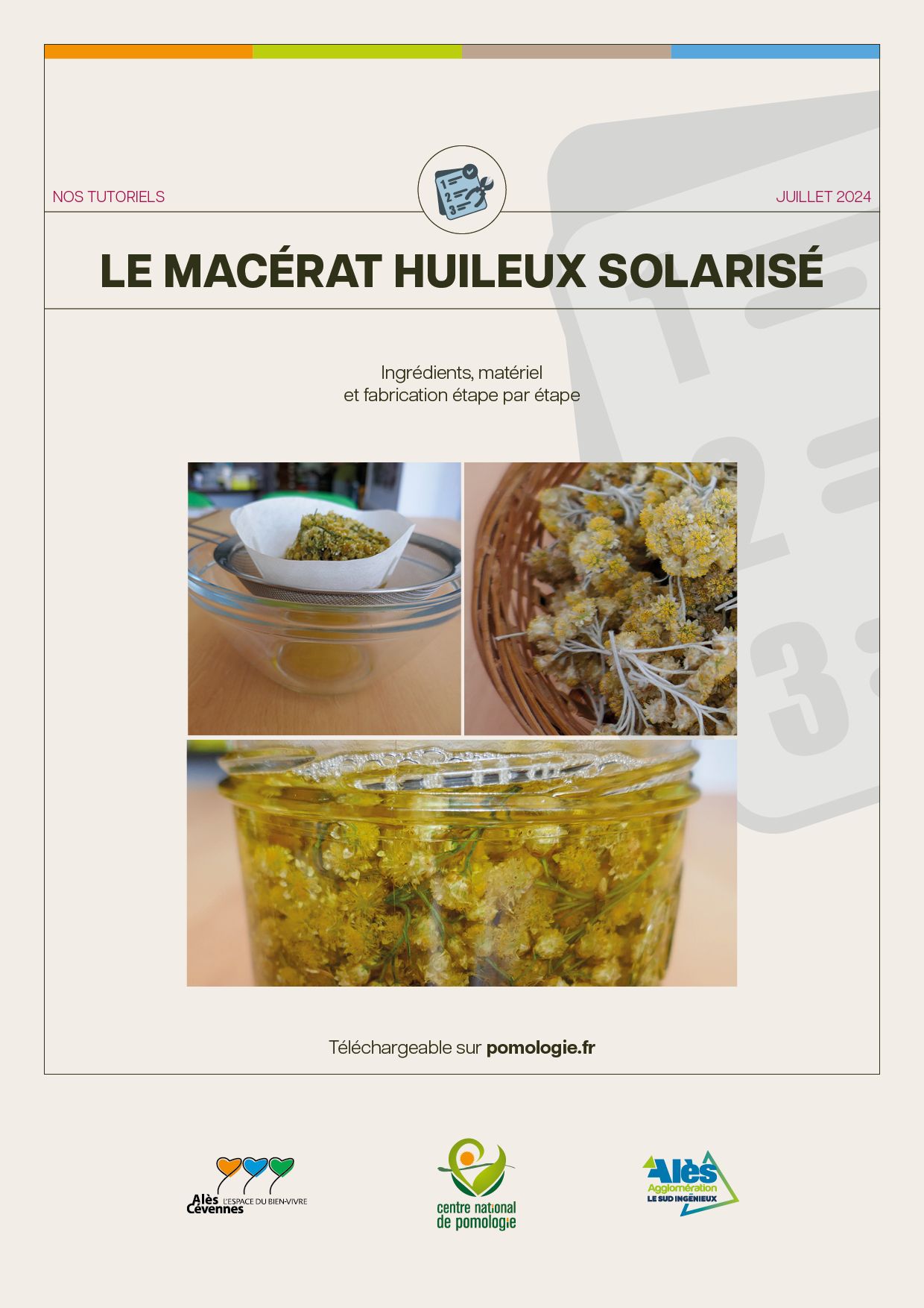 tutoriel macerat huileux solarisé